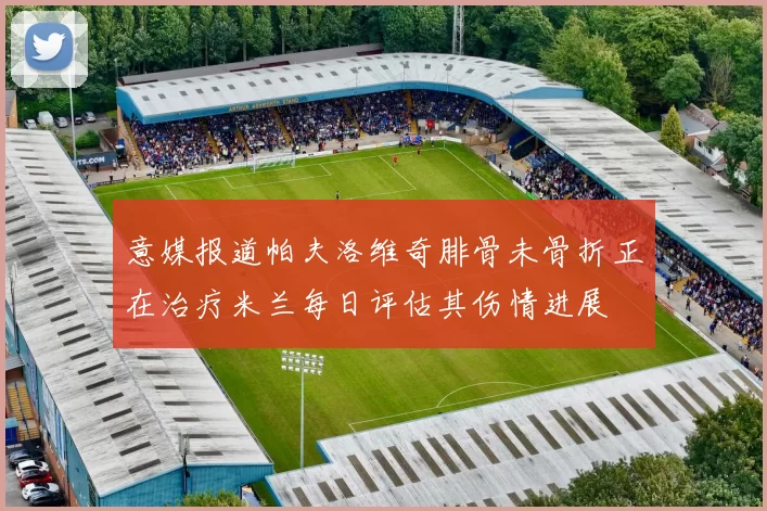 意媒报道帕夫洛维奇腓骨未骨折正在治疗米兰每日评估其伤情进展